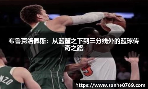 BB贝博艾弗森体育